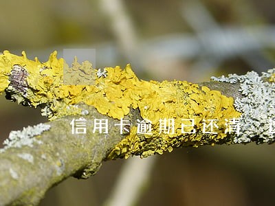 信用卡逾期已还清 透支利息 信用卡逾期已还清 透支利息